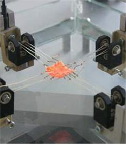 双向拉伸试验夹具